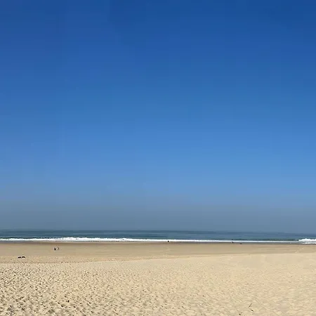 Spacieuse A 6 Minutes Des Plages Et Marche, Ideale Pour Familles Et Amis, Wifi Inclus - Fr-1-736-35 Lege-Cap-Ferret